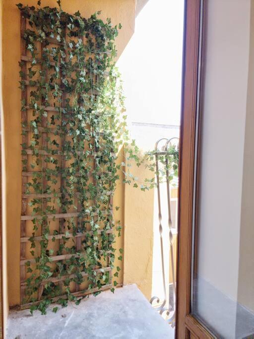 Apartamento T2 Clim & Confort - Gare Matabiau - Metro - Wifi Toulouse Exterior foto